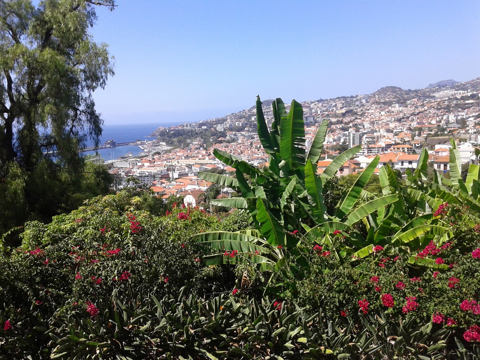 Vista do Funchal do terraço da Quinta da Boa Vista, 2018, Santa Maria