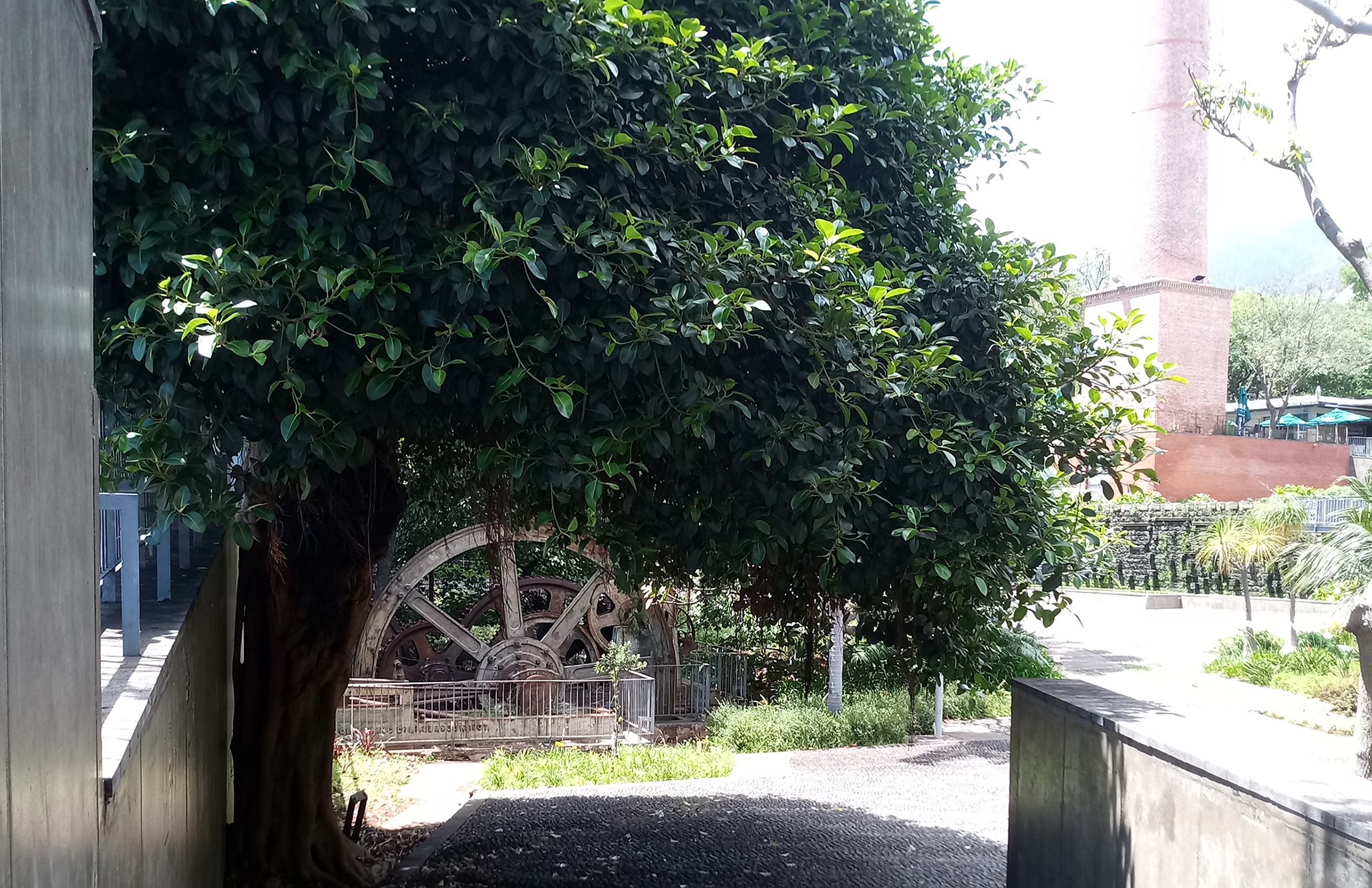 O Lugar do Torreão. Imagem de Lisboa EGEAC A Vida Portuguesa